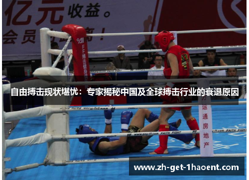 自由搏击现状堪忧:专家揭秘中国及全球搏击行业的衰退原因 自由搏击现状堪忧:专家揭秘中国及全球搏击行业的衰退原因