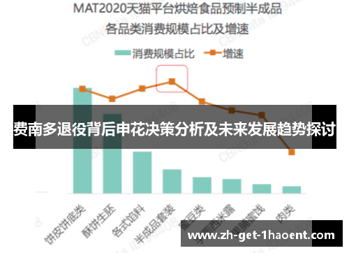 费南多退役背后申花决策分析及未来发展趋势探讨
